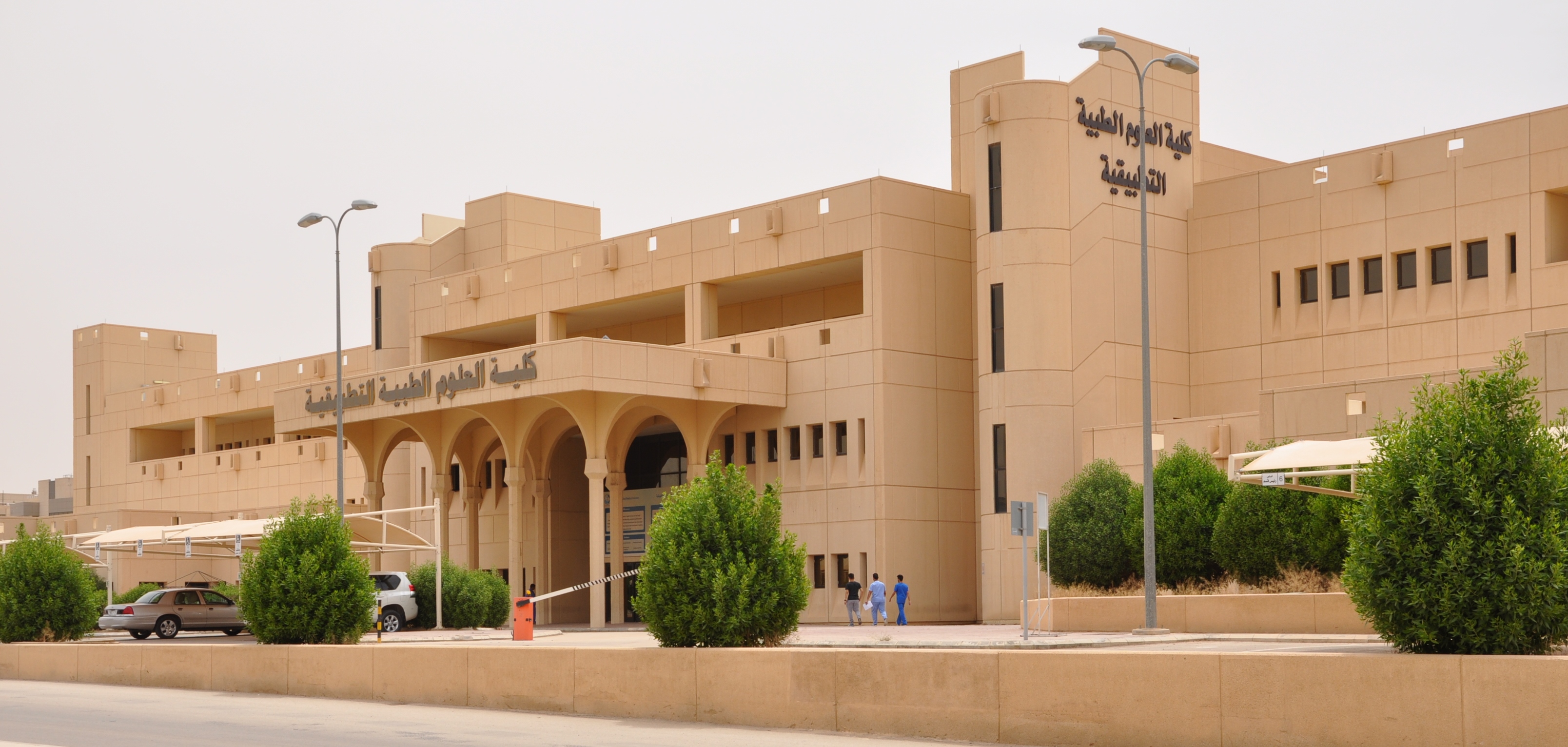 سعود كلية العلوم الملك التطبيقية الطبية جامعة الكليات